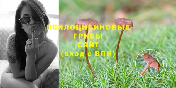 гидропоника Богданович