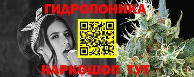 прущие грибы Абинск