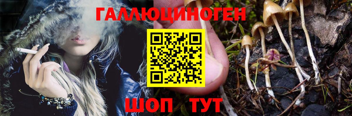 Галлюциногенные грибы GOLDEN TEACHER  купить закладку  Абакан 