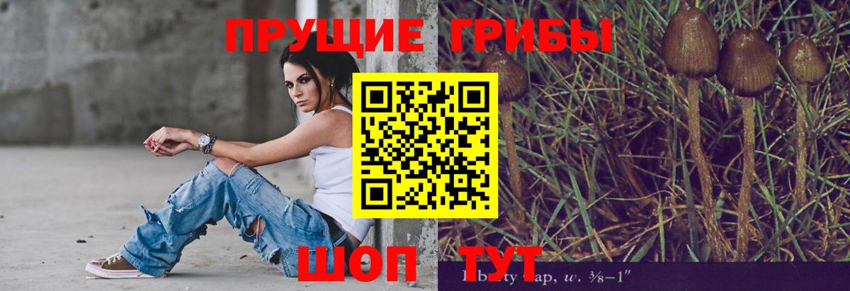 Галлюциногенные грибы Cubensis Абакан