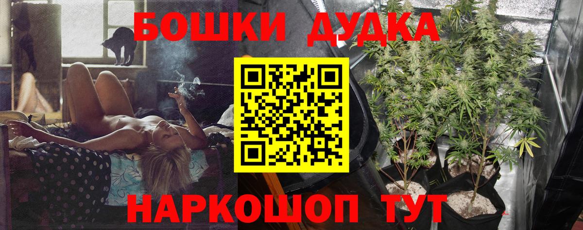 Бошки Шишки план Абакан